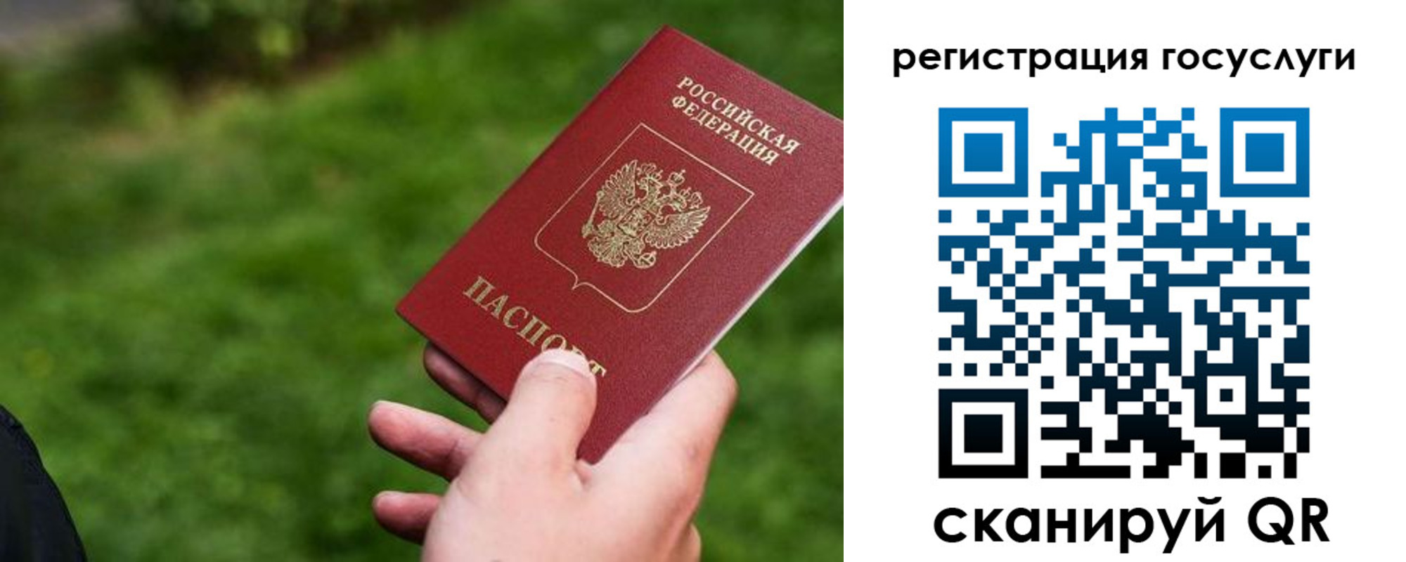 временная регистрация в Ивантеевке